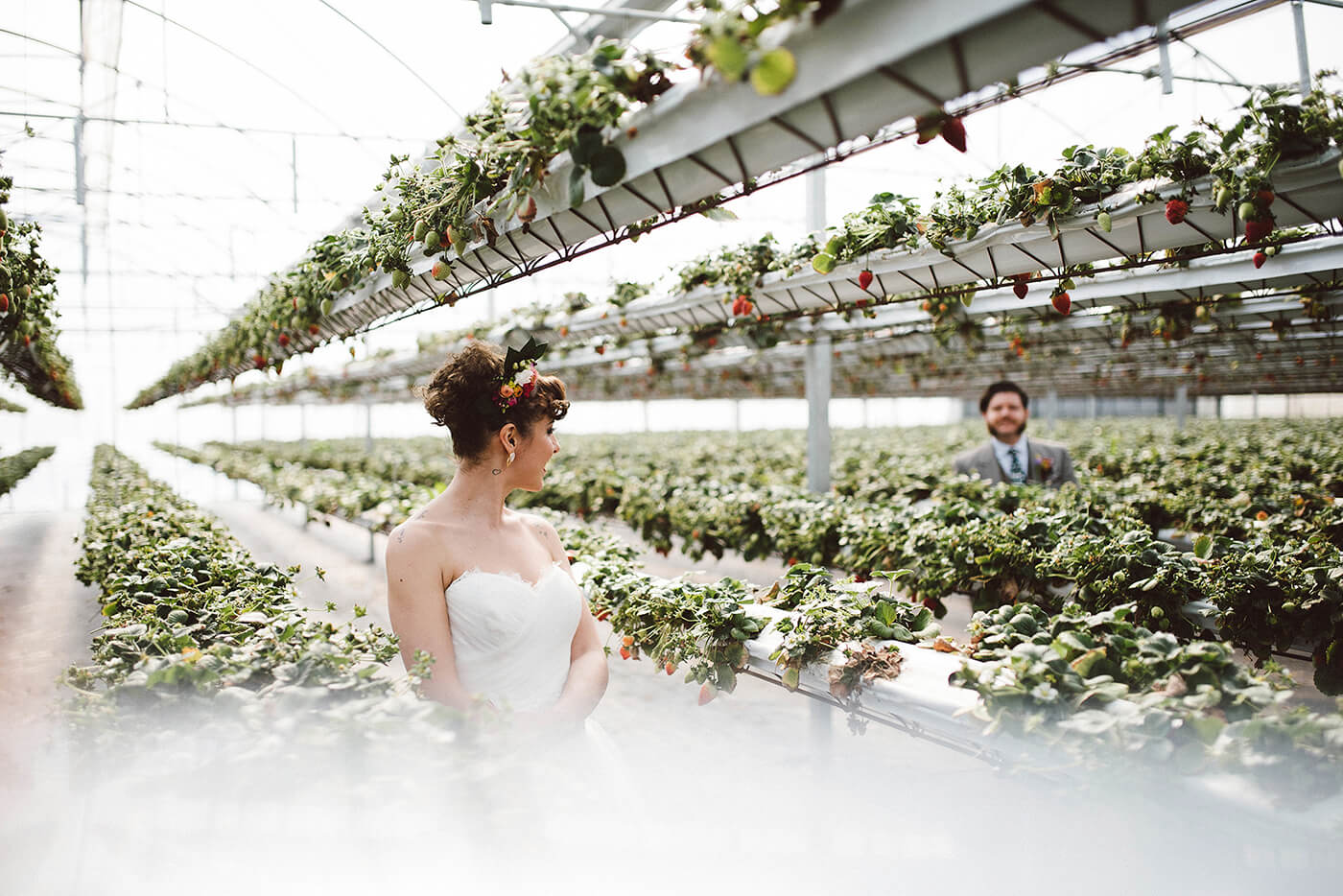 roma-organizacao-eventos-editorial-mid-century-modern-wedding-in-a-strawberry-field-12