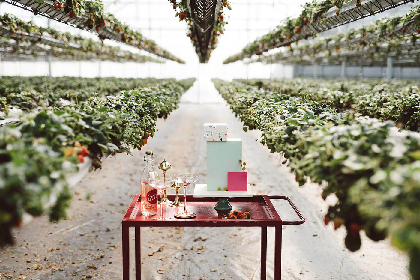 roma-organizacao-eventos-editorial-mid-century-modern-wedding-in-a-strawberry-field-26